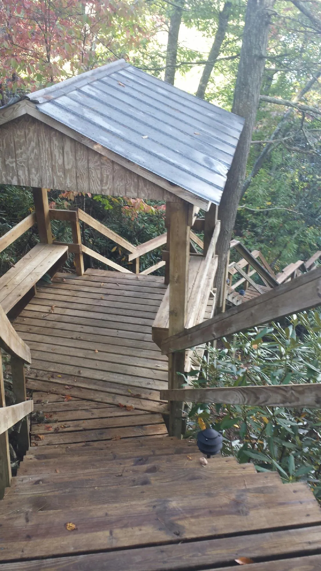 Metal roofed shelter over wooden steps on a wooded walkway — Skylight Repair & Installation work by our crew in Nicholasville
